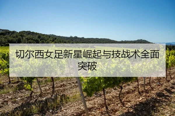切尔西女足新星崛起与技战术全面突破